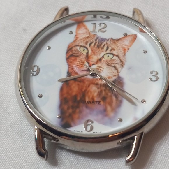 Rachael Hale Tabby Cat Watch - Picture 3 of 4